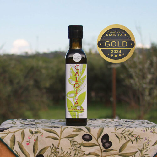 tuscan olive oil with medals